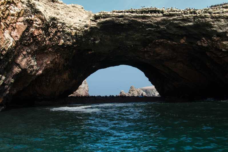 Paquete Turístico en Paracas, Ica y Nazca 03 Días y 02 Noches - Imagen 3