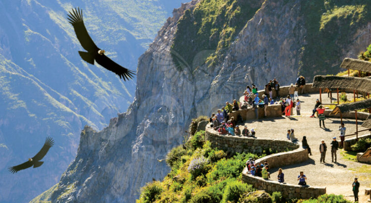 Paquete turístico en Arequipa y el Cañón del Colca 4 días y 3 noches - Imagen 3